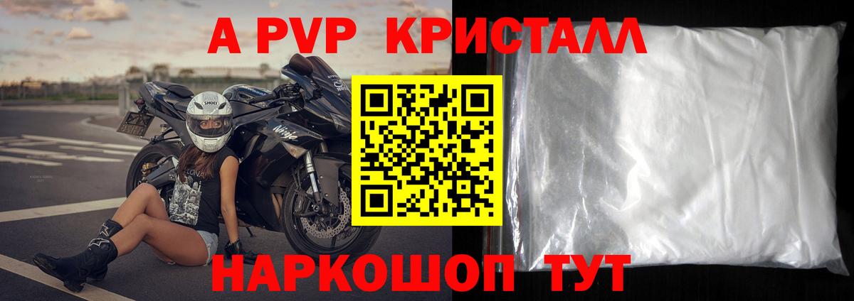 Alfa_PVP СК КРИС Хасавюрт