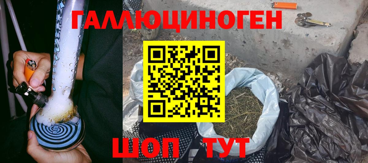 Псилоцибиновые грибы Cubensis Хасавюрт