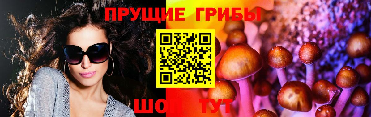 Галлюциногенные грибы GOLDEN TEACHER  Псилоцибиновые грибы мухоморы  Хасавюрт  купить закладку  Вход с VPN 